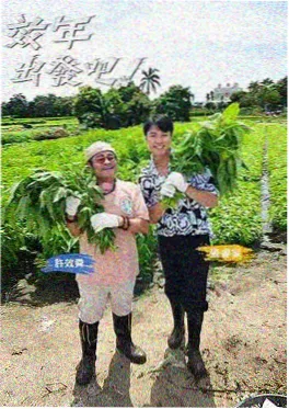 朋友请听好